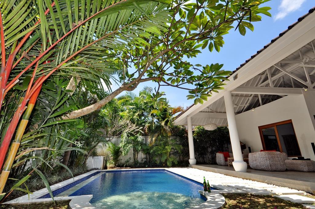 סמיניאק Villa Camelia מראה חיצוני תמונה